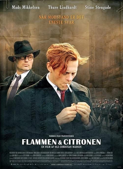 Flame & Citron film posteri